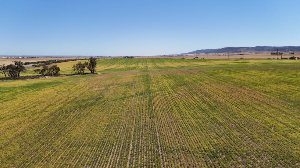 Click to view all images Allotment 78 Augusta Highway Crystal Brook SA 5523 - Image 3