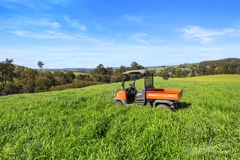 Click to view all images 4333 Melba Highway Glenburn VIC 3717 - Image 3