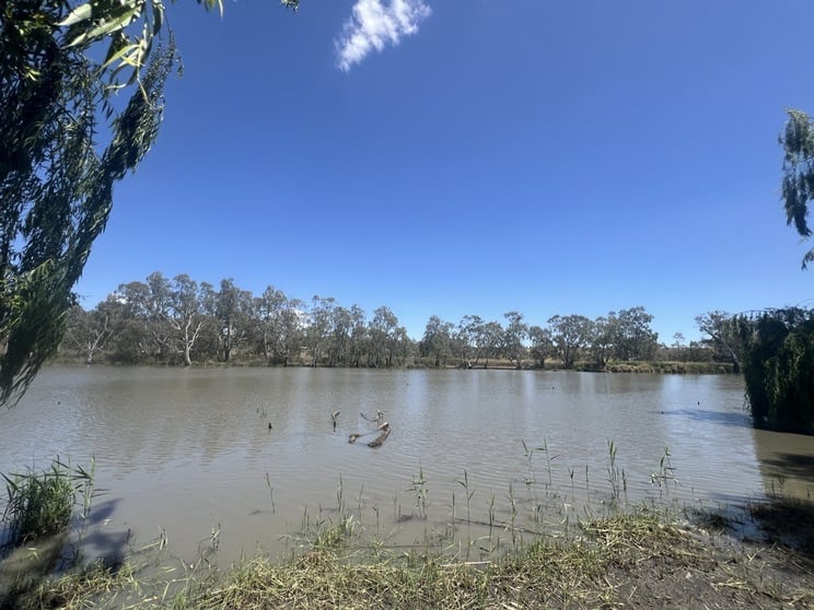 Click to view all images 115 Craignook Road Caurnamont SA 5238 - Image 2