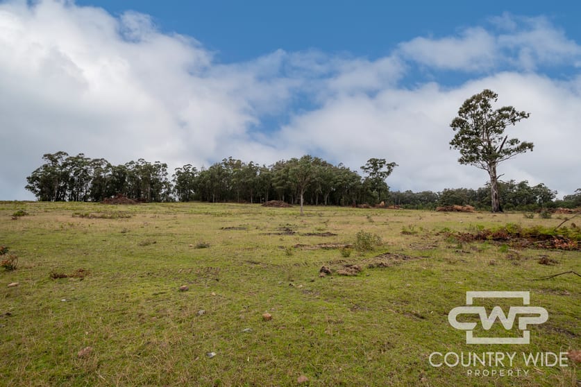 92, 470 Silent Grove Road Torrington NSW 2371 - Image 2