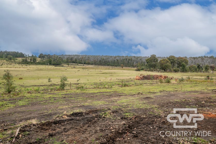92, 470 Silent Grove Road Torrington NSW 2371 - Image 3