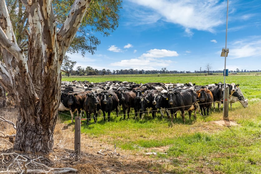 Click to view all images 2217 Henderson Road Girgarre VIC 3624 - Image 3