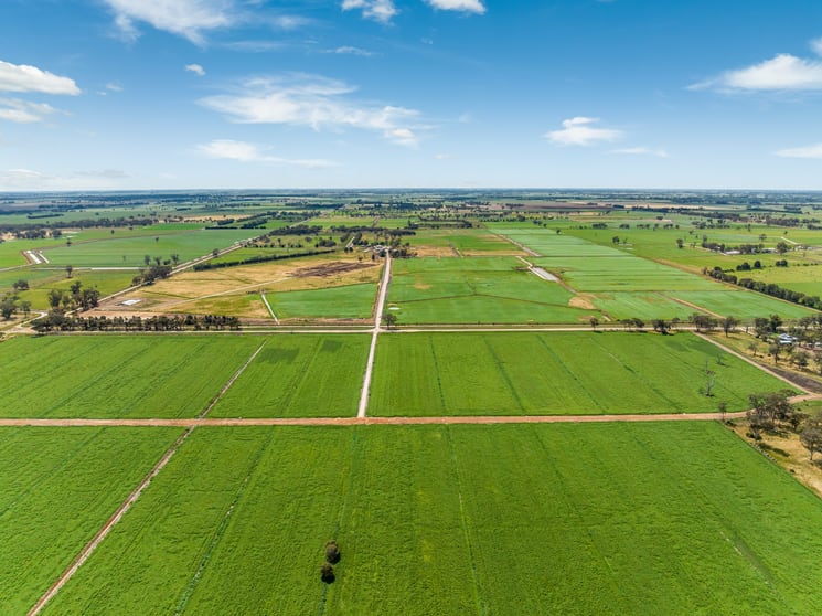 Click to view all images 1070 & 1072 White Road Girgarre VIC 3624 - Image 2