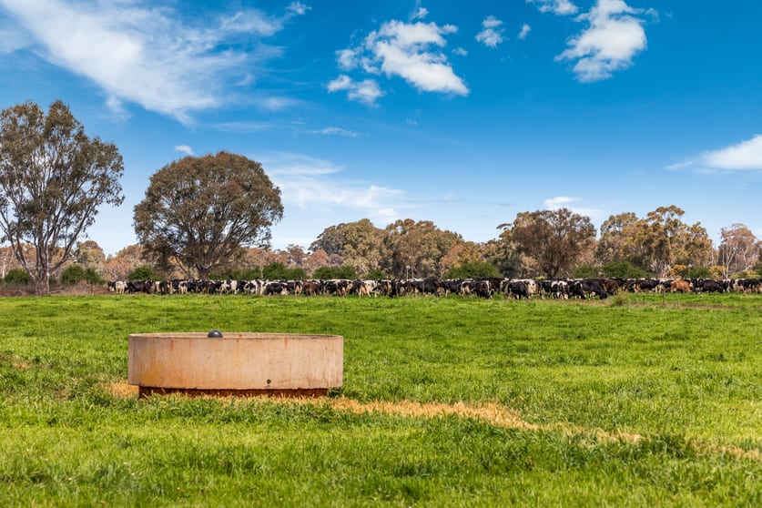 Click to view all images 2217 Henderson Road Girgarre VIC 3624 - Image 1