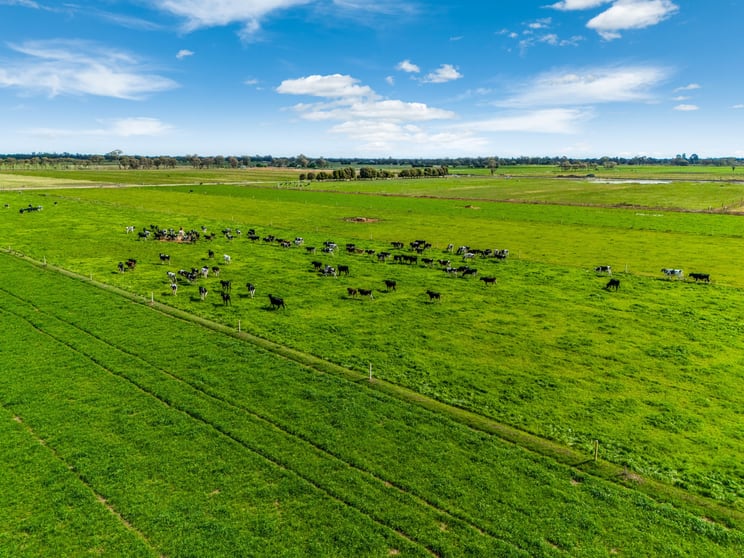 Click to view all images 2217 Henderson Road Girgarre VIC 3624 - Image 2