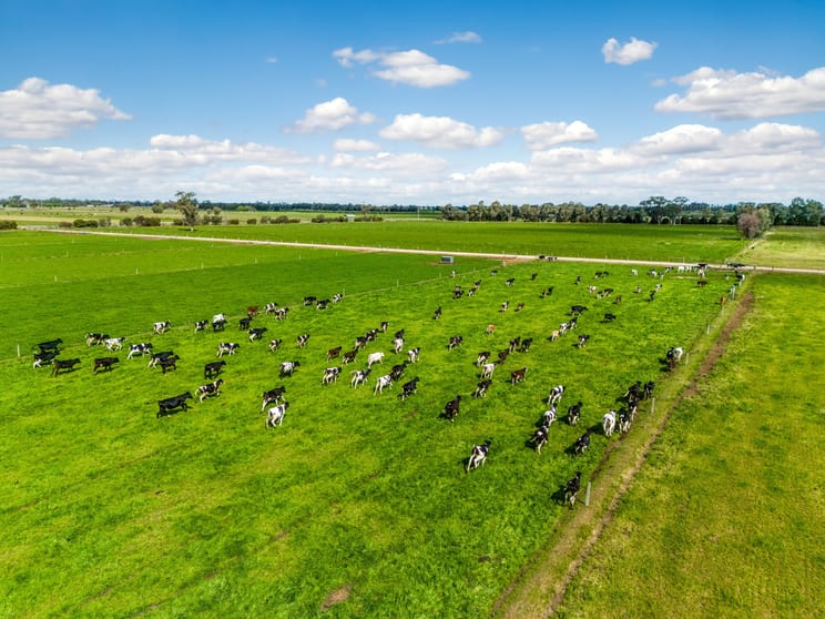 Click to view all images 818 Henderson Road Tongala VIC 3621 - Image 3
