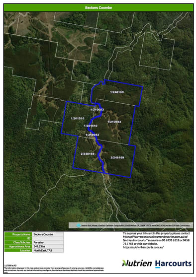 Click to view all images . St Columba Falls Road Pyengana TAS 7216 - Image 2