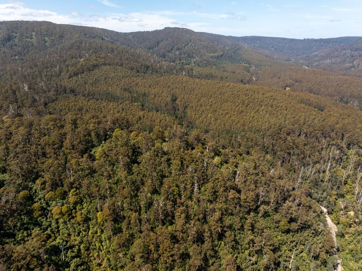 Click to view all images . St Columba Falls Road Pyengana TAS 7216 - Image 3