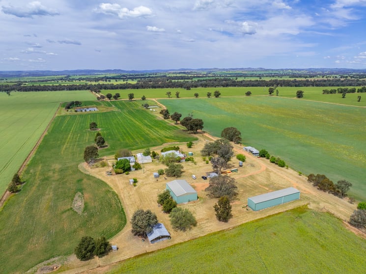 Click to view all images 104 Selection Road Cowra NSW 2794 - Image 1