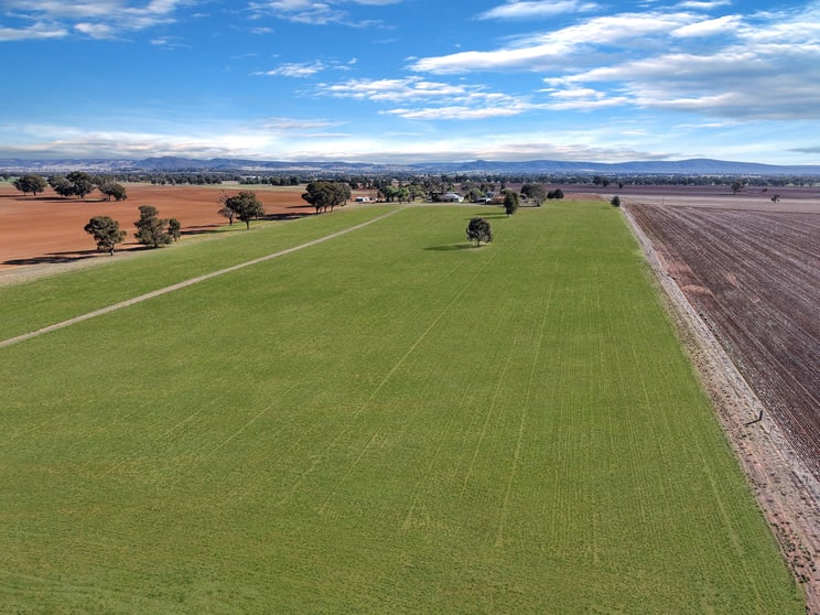 Click to view all images 104 Selection Road Cowra NSW 2794 - Image 3