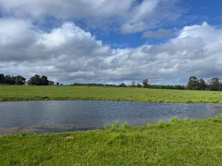 Click to view all images Lot 11144 Meerup Road Northcliffe WA 6262 - Image 2