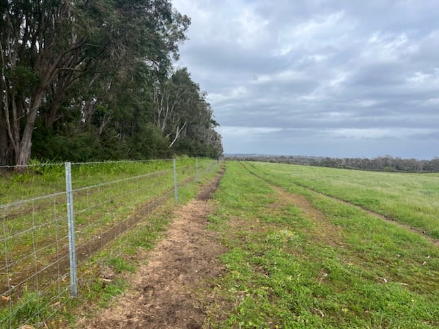 Click to view all images Lot 11144 Meerup Road Northcliffe WA 6262 - Image 3