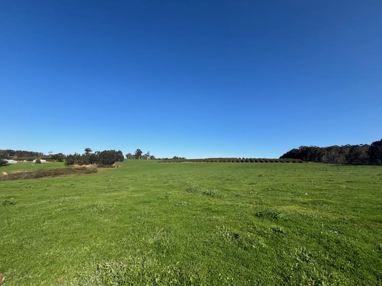 Click to view all images Lot 500 Pipe Clay Gully Road Manjimup WA 6258 - Image 1