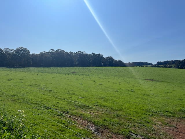Click to view all images Lot 500 Pipe Clay Gully Road Manjimup WA 6258 - Image 2
