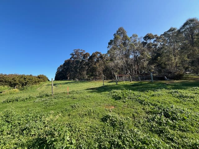 Click to view all images Lot 500 Pipe Clay Gully Road Manjimup WA 6258 - Image 3