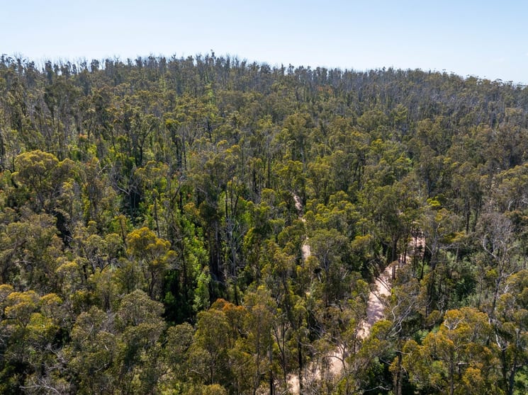 Click to view all images Lot 452 The Snake Track Via Kiah Eden NSW 2551 - Image 3