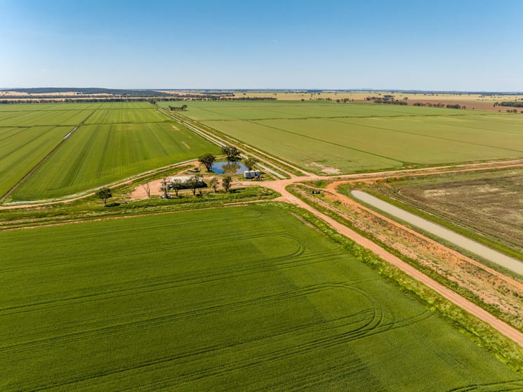 Click to view all images Boundary Road Murrami NSW 2705 - Image 3