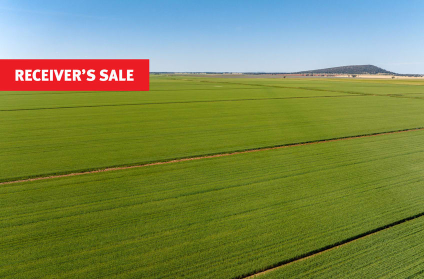 Click to view all images Boundary Road Murrami NSW 2705 - Image 1