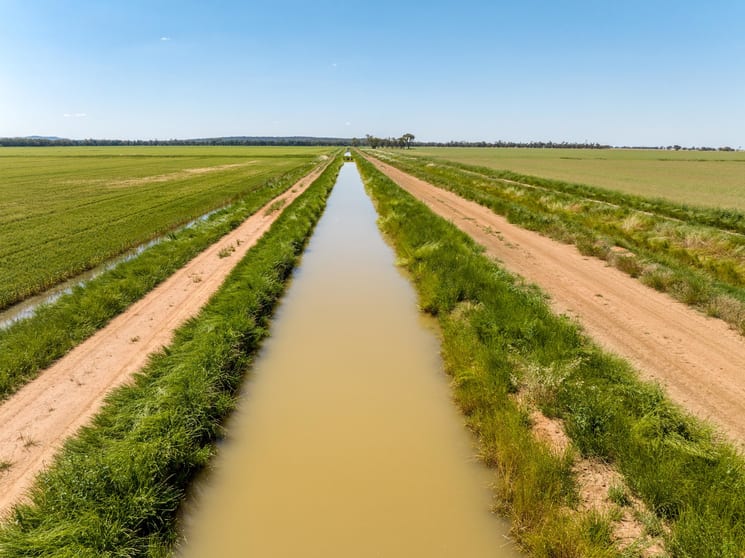 Click to view all images Boundary Road Murrami NSW 2705 - Image 2