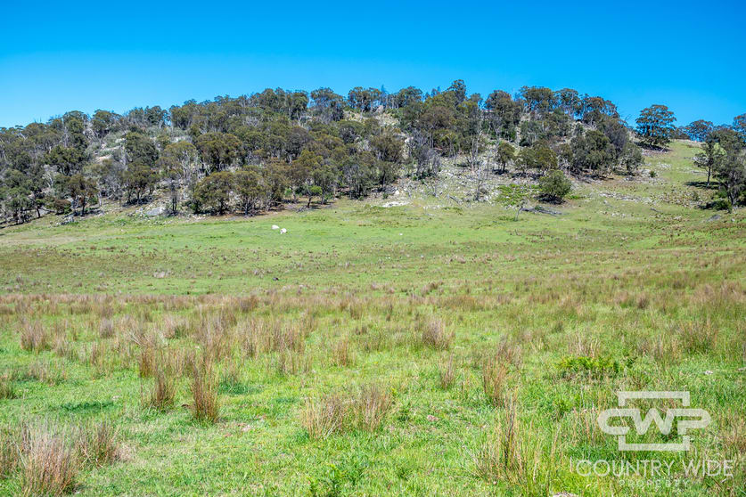 11, - Ten Mile Rd Deepwater NSW 2371 - Image 1
