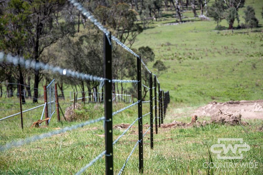 11, - Ten Mile Rd Deepwater NSW 2371 - Image 2