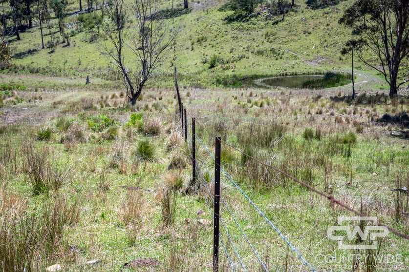 11, - Ten Mile Rd Deepwater NSW 2371 - Image 3