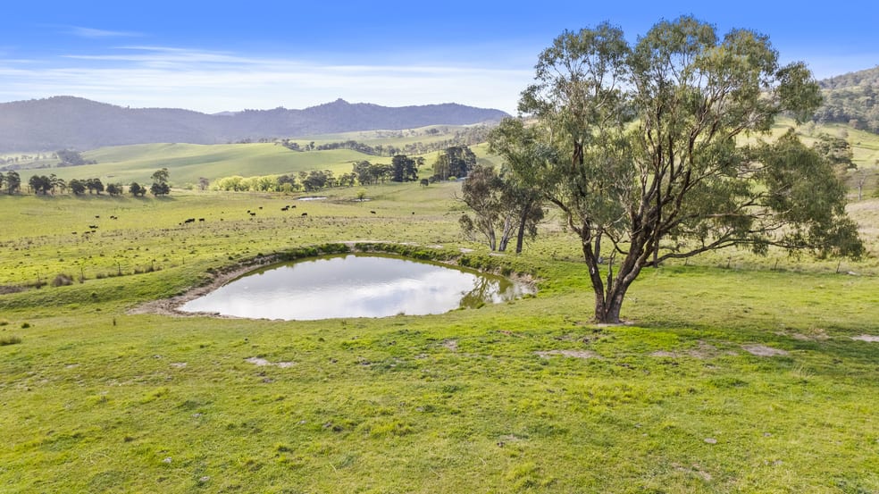 Click to view all images 191 Jerrys Meadow Road Sodwalls NSW 2790 - Image 3