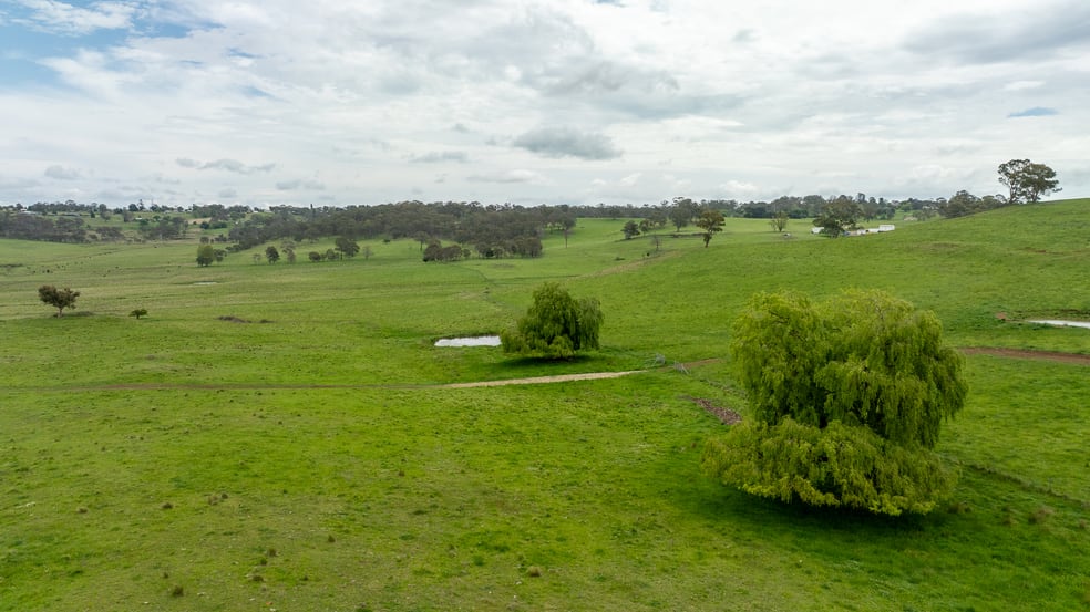 Click to view all images 75 Blush Road Guyra NSW 2365 - Image 1