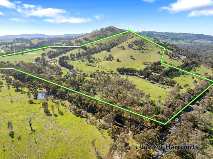 Click to view all images 8590 Goulburn Valley Highway Whiteheads Creek VIC 3660 - Image 3
