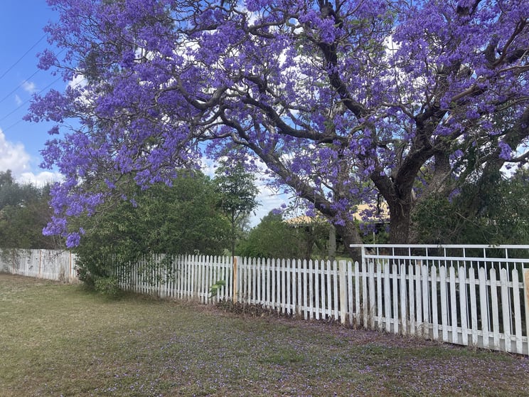 Click to view all images "Silverleigh" 267 Kingsthorpe Silverleigh Road Yalangur QLD 4352 - Image 3