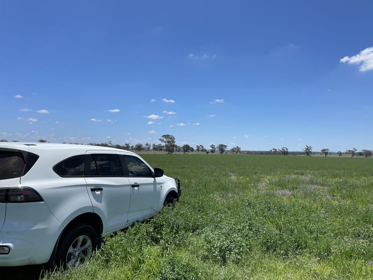 Click to view all images "Silverleigh" 267 Kingsthorpe Silverleigh Road Yalangur QLD 4352 - Image 2