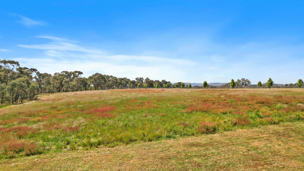 179 Bosworth Falls Road O'connell NSW 2795 - Image 3