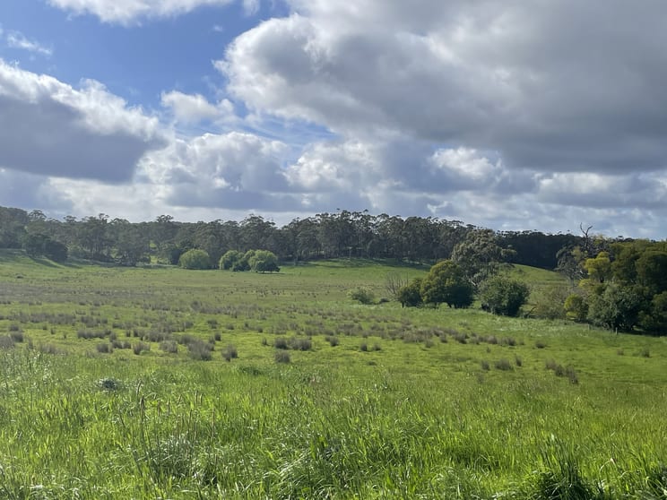 Click to view all images 3554 Lavers Hill - Cobden Road Kennedys Creek VIC 3239 - Image 2