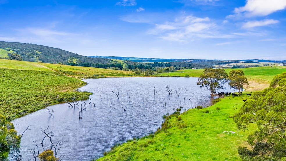 Click to view all images 700 Cleland Gully Road Tooperang SA 5255 - Image 3