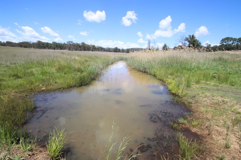 Click to view all images 187 Roos Road Tenterfield NSW 2372 - Image 3