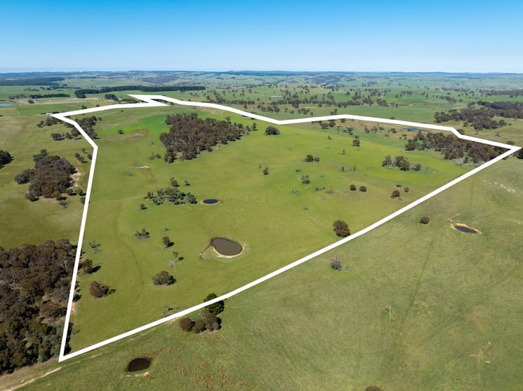 Part of 996 Dog Rocks Road Black Springs NSW 2787 - Image 2