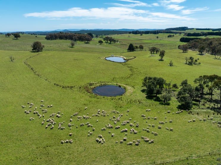 Part of 996 Dog Rocks Road Black Springs NSW 2787 - Image 3