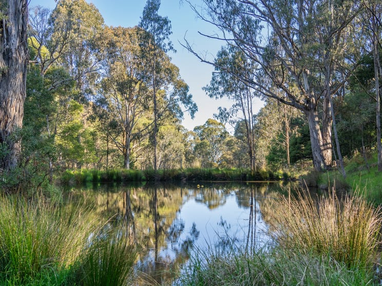 Click to view all images Lot 2/630 Glenroy Road Merrijig VIC 3723 - Image 2