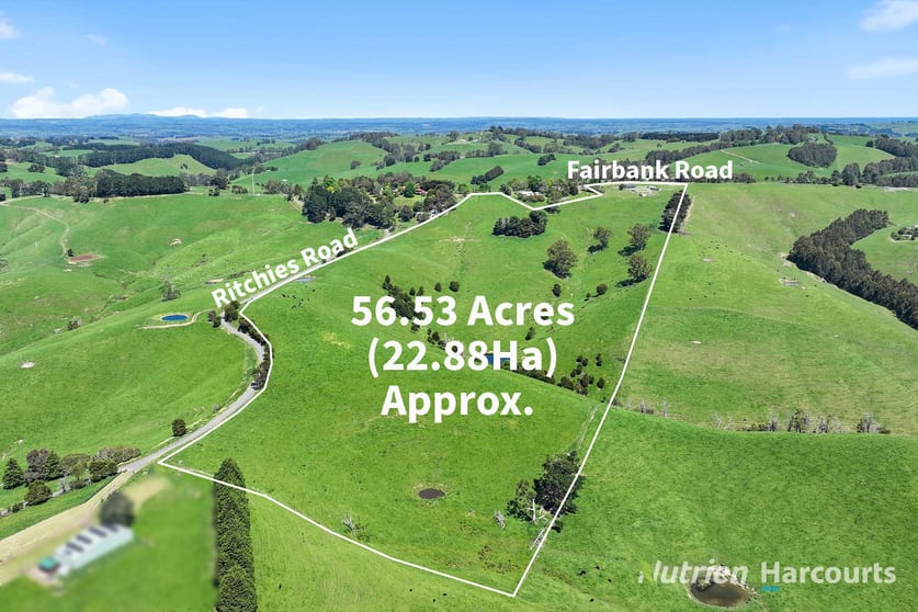 385 Fairbank Road Arawata VIC 3951 - Image 2