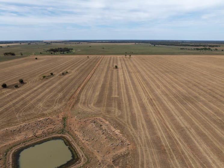 Haddington, 647 Sandy Camp Road Quambone NSW 2831 - Image 2