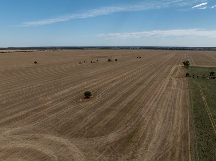 Haddington, 647 Sandy Camp Road Quambone NSW 2831 - Image 3