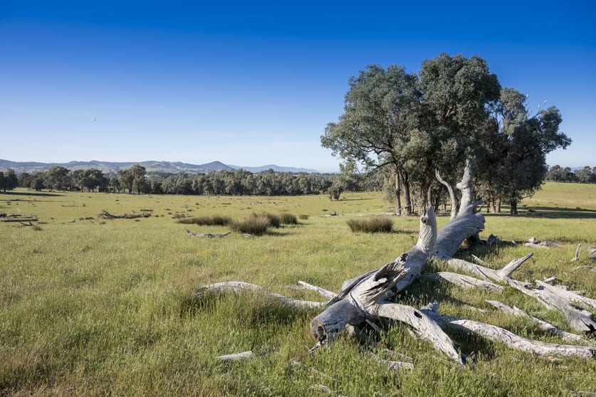 Click to view all images CA37A and 37B Hartridge Road Molyullah VIC 3673 - Image 3