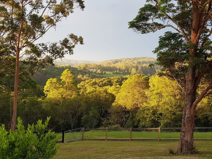 Click to view all images 1566 Colling Rd Elands NSW 2429 - Image 2