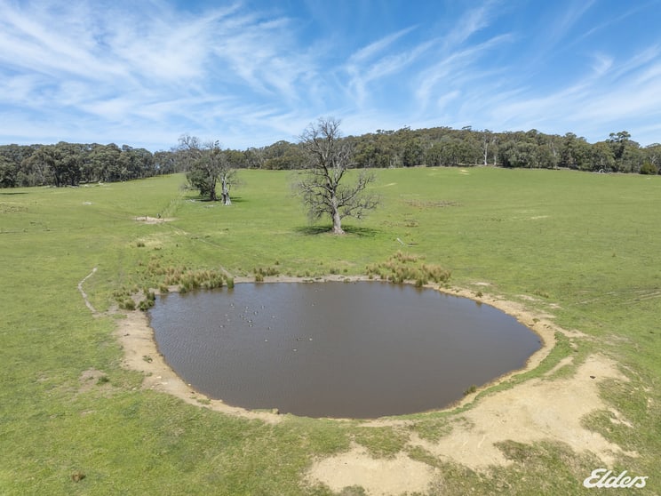 1187 Bonnie Doon Road Boho South VIC 3669 - Image 3