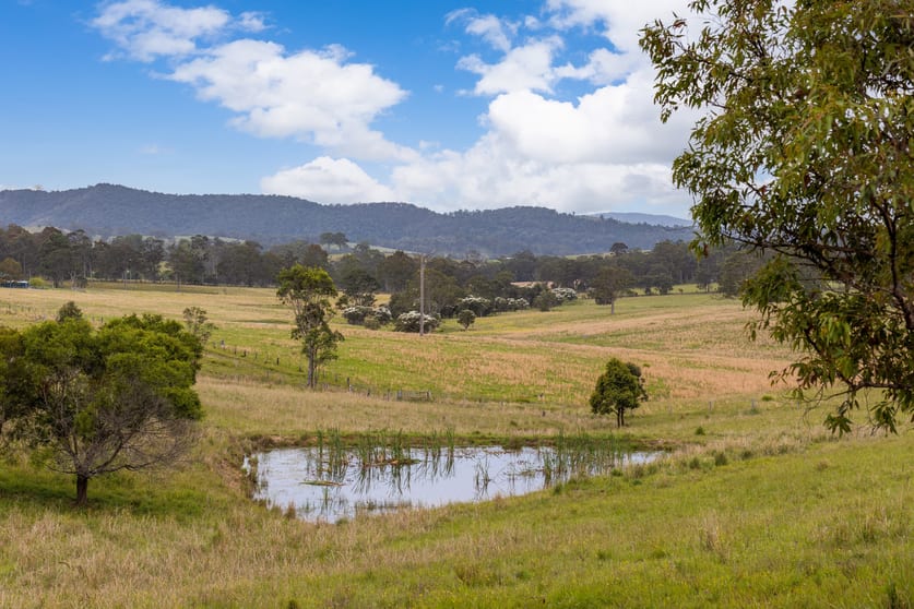Click to view all images 87 Norries Road Bunyah NSW 2429 - Image 3