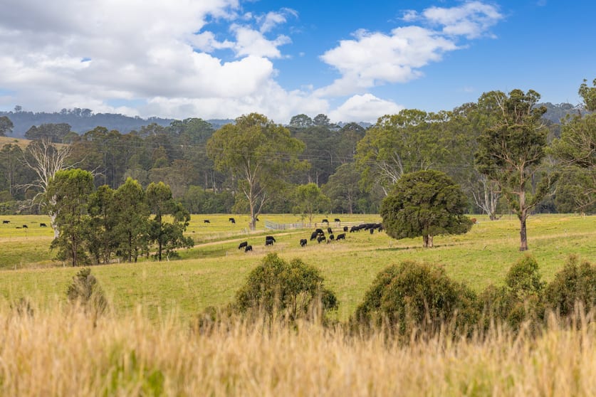 Click to view all images 179 Norries Road Bunyah NSW 2429 - Image 1