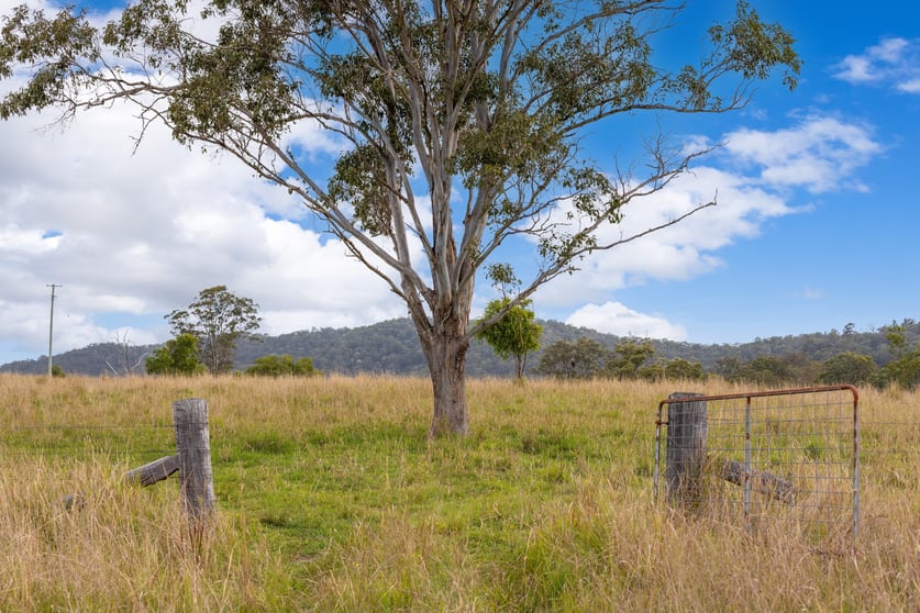 Click to view all images 179 Norries Road Bunyah NSW 2429 - Image 2