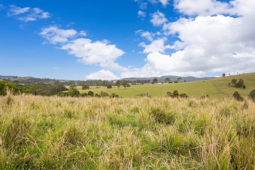 Click to view all images 179 Norries Road Bunyah NSW 2429 - Image 3
