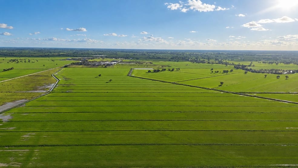 7172 Murray Valley Highway Cullen VIC 3568 - Image 2