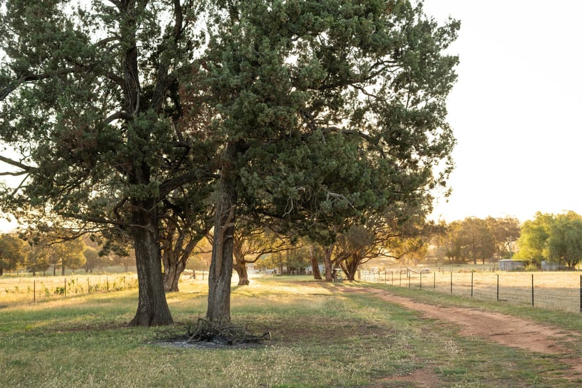 Click to view all images "Creekview" Newell Highway Alectown NSW 2870 - Image 2